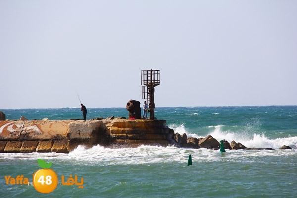 mina2 yaffaj343 (30).JPG